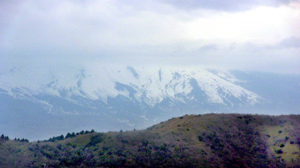 Fuji-san