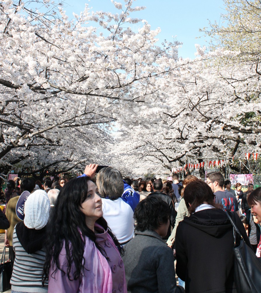 hanami 4